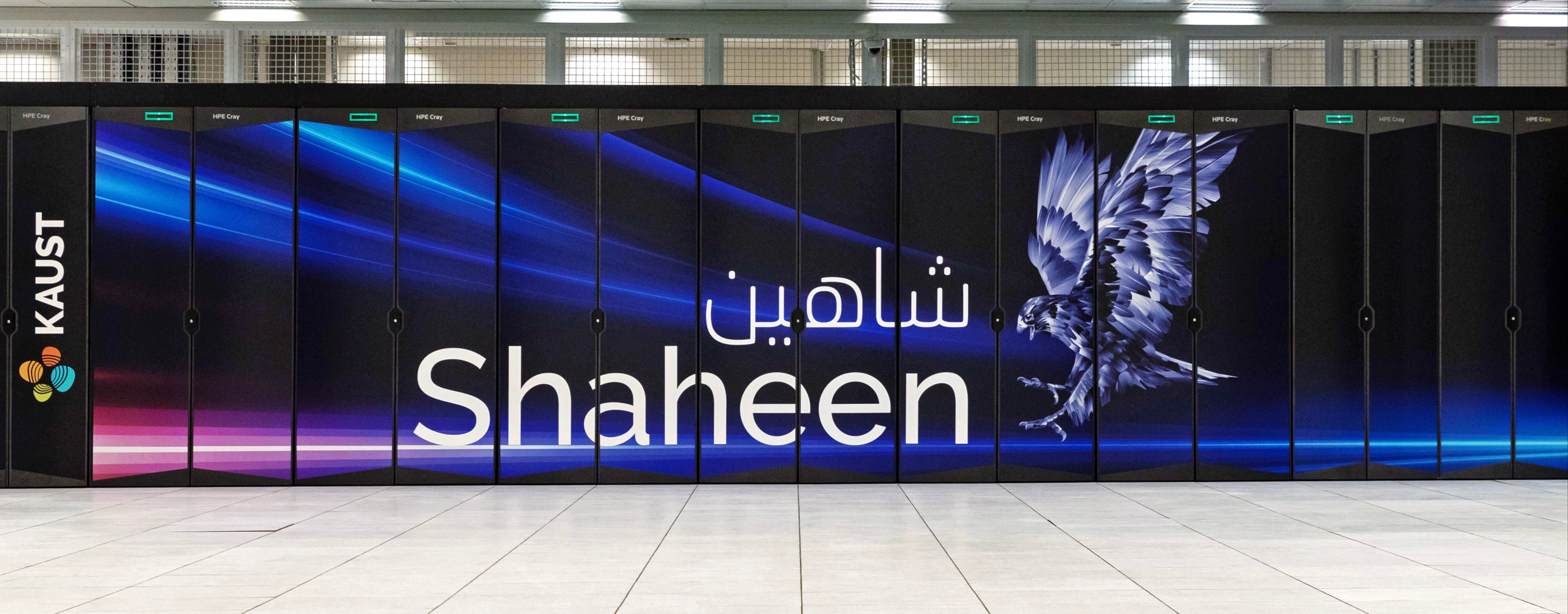 shaheen kaust