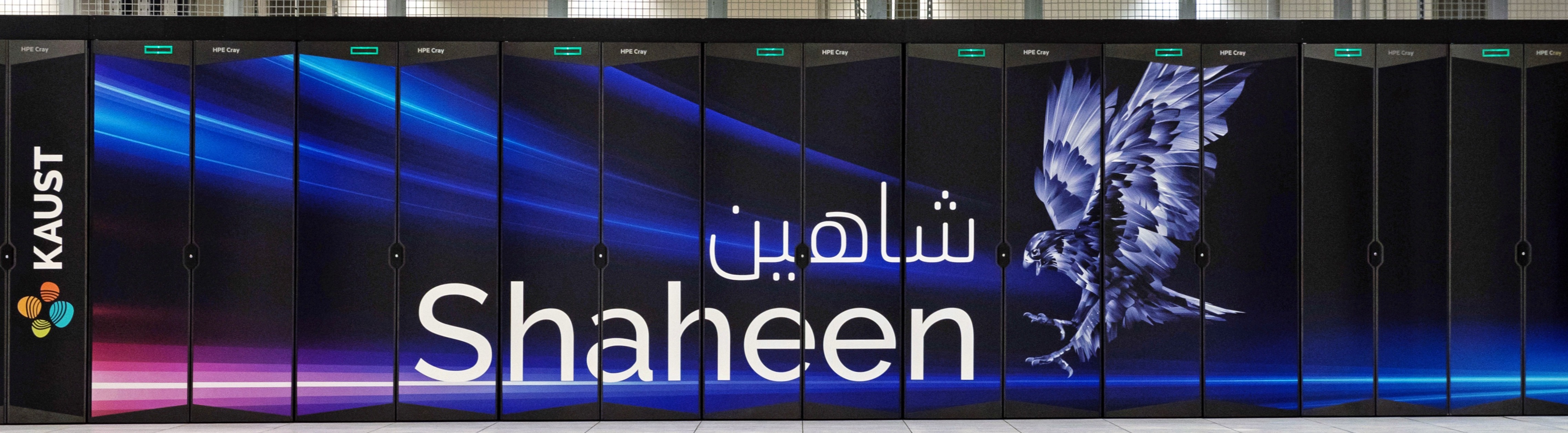 shaheen kaust